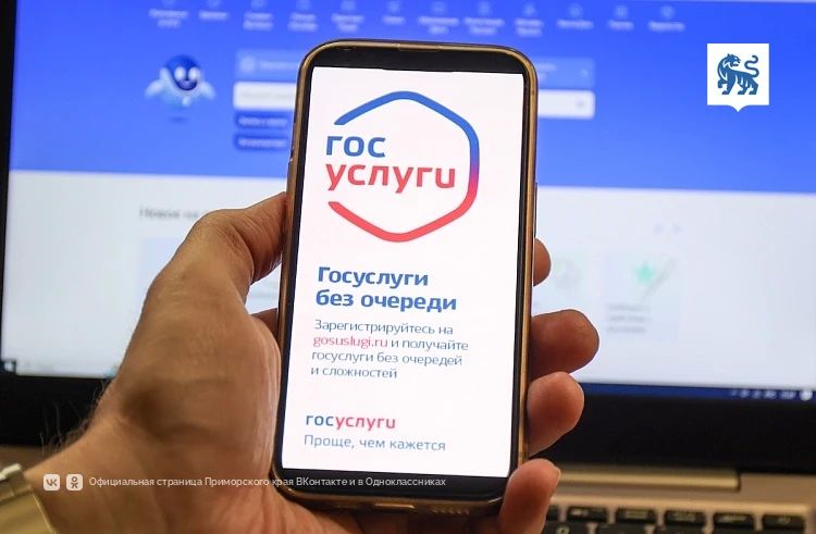 Госуслуги помогут приморцам защитить себя от мошенников