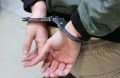 Пять человек задержали в Приморье дружинники отряда «Тигр-правопорядок» совместно с полицией