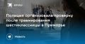 В Уссурийске полиция проверяет инцидент с травмированием шестиклассницы