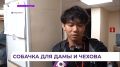 Необычный актёр сыграл одну из главных ролей в спектакле китайского режиссёра «Дама с собачкой»