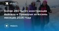 280 тысяч иностранцев посетили Приморье за восемь месяцев 2026 года