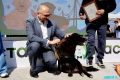 Мэру Владивостока и председателю гордумы сразу после выборов повысили зарплату