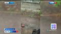 Дорожные службы ликвидируют последствия ночной непогоды