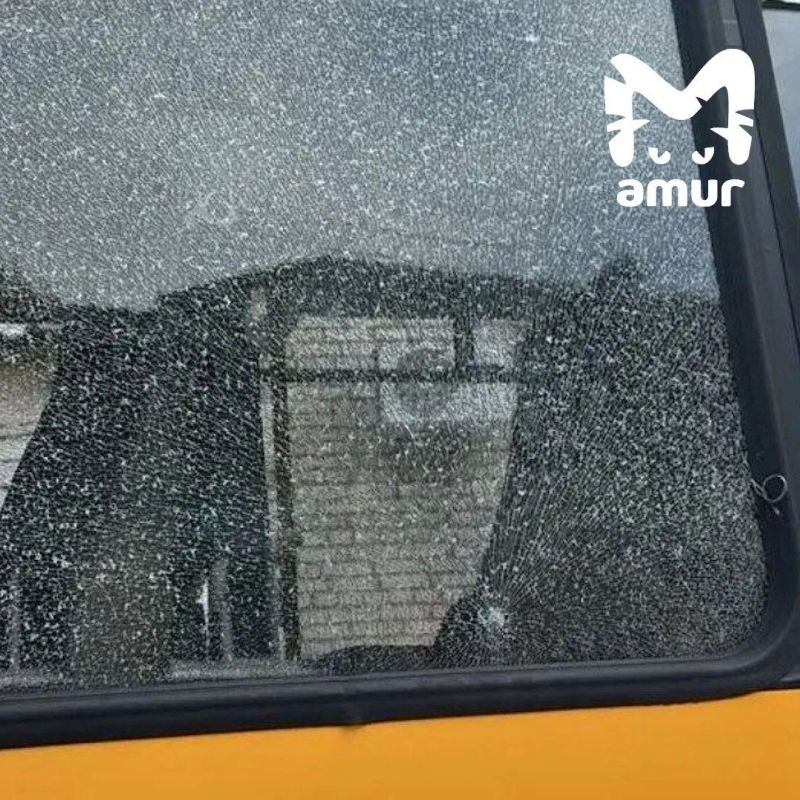 Подросток расстрелял полный детей автобус в Приморье