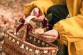 Грибная карта Крыма: где и что искать после дождей