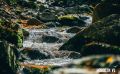 Доброе утро, Владивосток. Днём переменная облачность