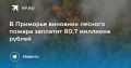 В Приморье виновник лесного пожара выплатит 80,7 млн рублей