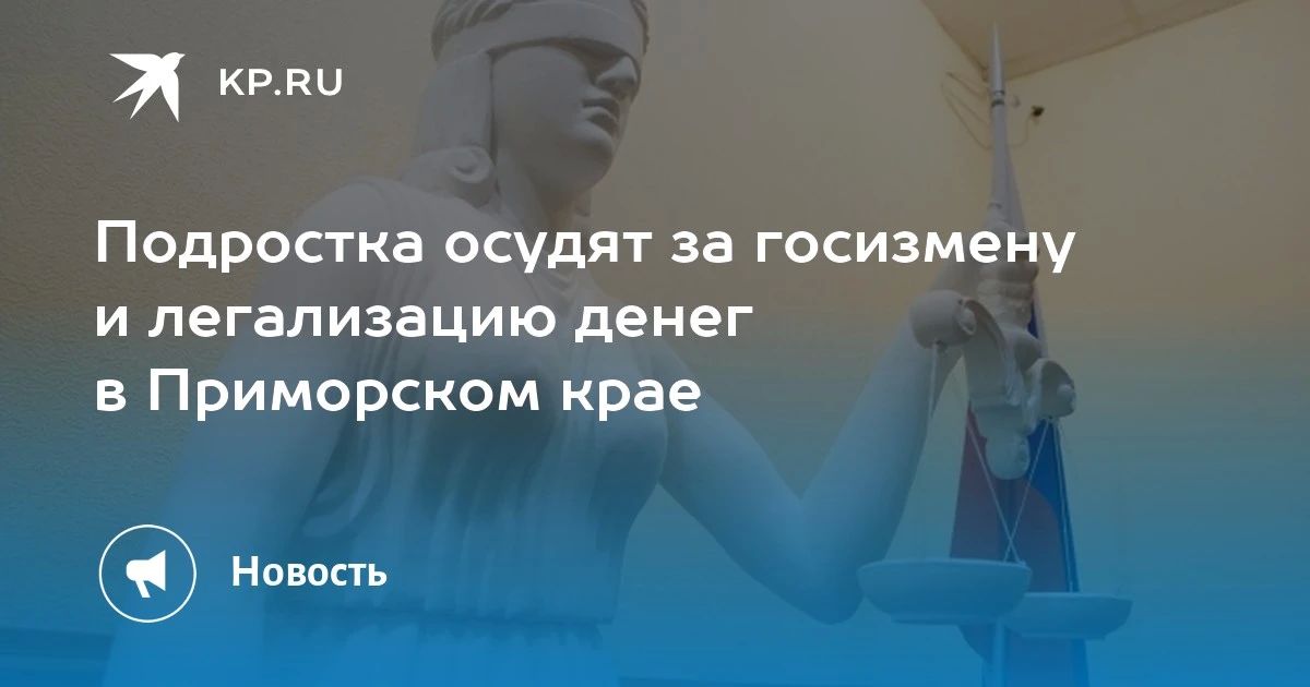 Подростка осудят за госизмену в Приморье