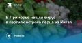 В Приморье нашли вирус в остром перце из Китая