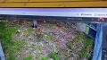 Евгений Корж: Сегодня, в День тигра, состоялось торжественное открытие первой очереди центра реабилитации диких животных