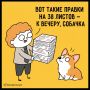 ��� ��� � �����������, �������