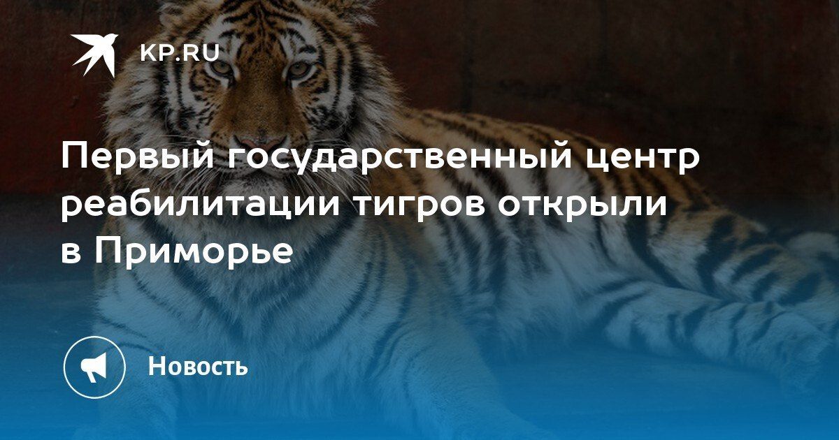 В Приморье открыли первый в России центр реабилитации амурских тигров