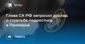 Стрельба подростков в Приморье: СК РФ требует доклад