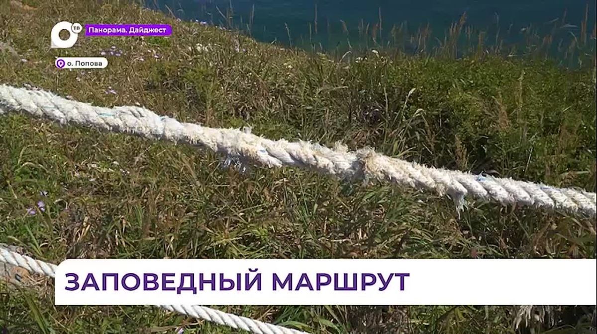 На острове Попова открыли экологическую тропу «Заповедный маршрут»