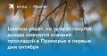 Самый теплый день недели в Владивостоке