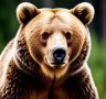 Пешая прогулка по знаменитому природному комплексу «Парк драконов» в Лазовском оказалась опасной для приморских туристок