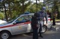 Героико-патриотический фестиваль профессий «На страже мира и порядка» состоялся во Владивостоке при участии сотрудников Росгвардии
