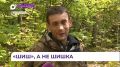 Лесная охрана провела рейд по сбору шишек в Шкотовском округе