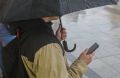 С утра 30 сентября и днём, а также ночью 1 октября в Приморье ожидаются дожди, местами сильные