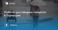 Роботы-доставщики в Приморье