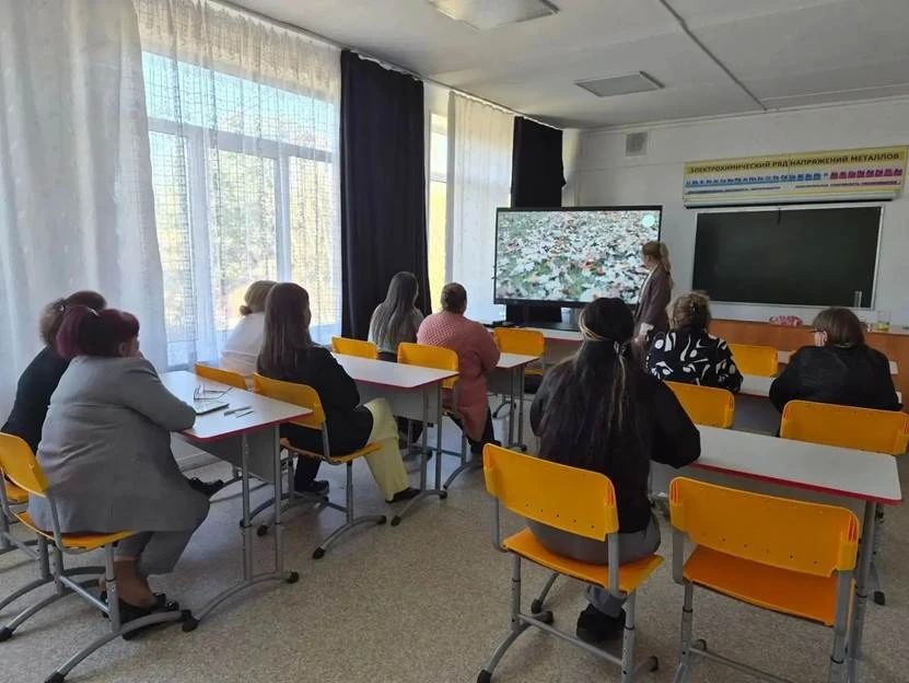 Как помочь ребёнку выбрать профессию и не выбирать её за него? Как помочь ребёнку выбрать профессию и не выбирать её за него?