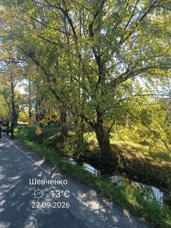 Содержание зелёных насаждений: итоги сентября Содержание зелёных насаждений: итоги сентября