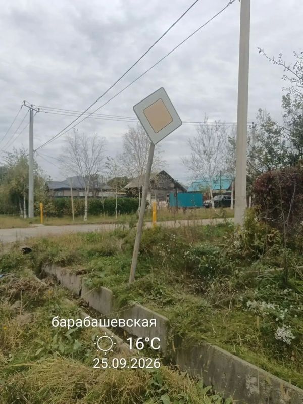 Содержание зелёных насаждений: итоги сентября Содержание зелёных насаждений: итоги сентября