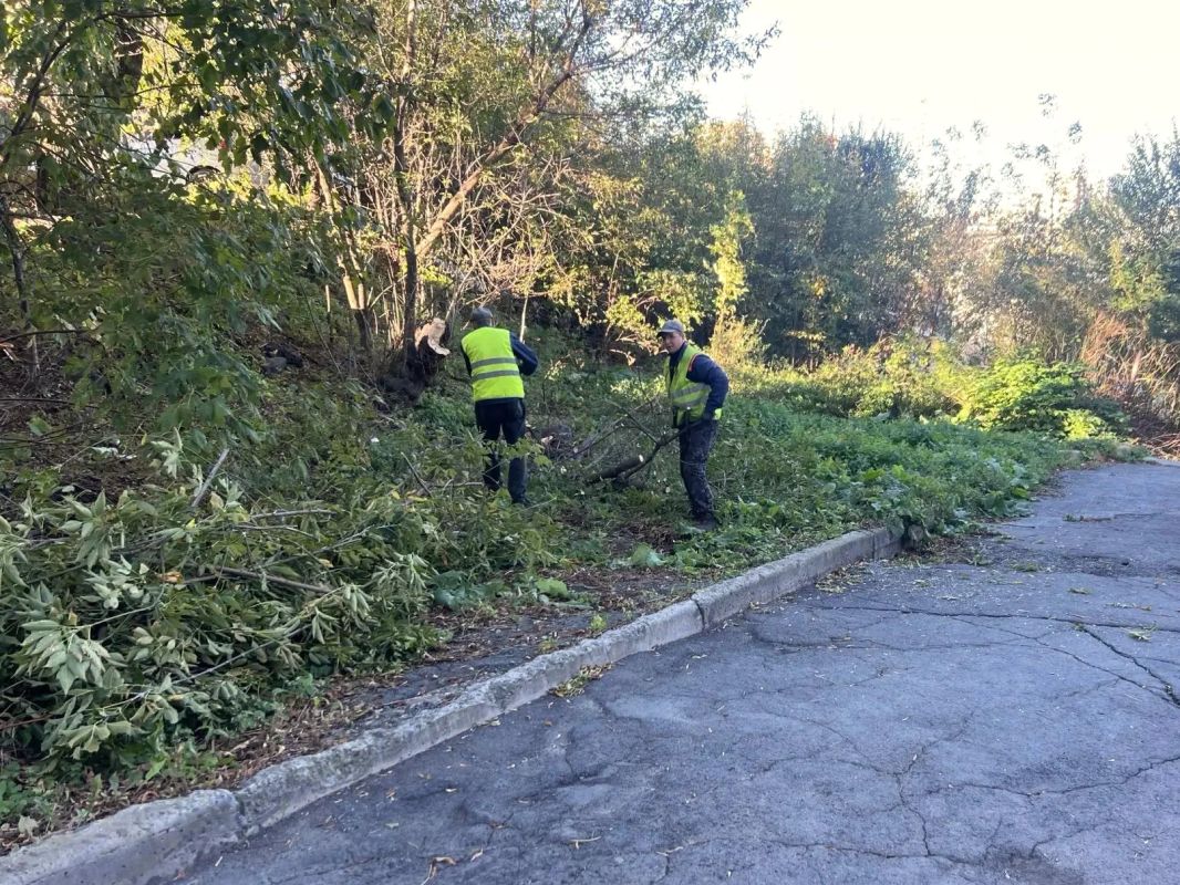 Осень вступает в свои права, а мы продолжаем наводить порядок на зеленых зонах Владивостока Осень вступает в свои права, а мы продолжаем наводить порядок на зеленых зонах Владивостока