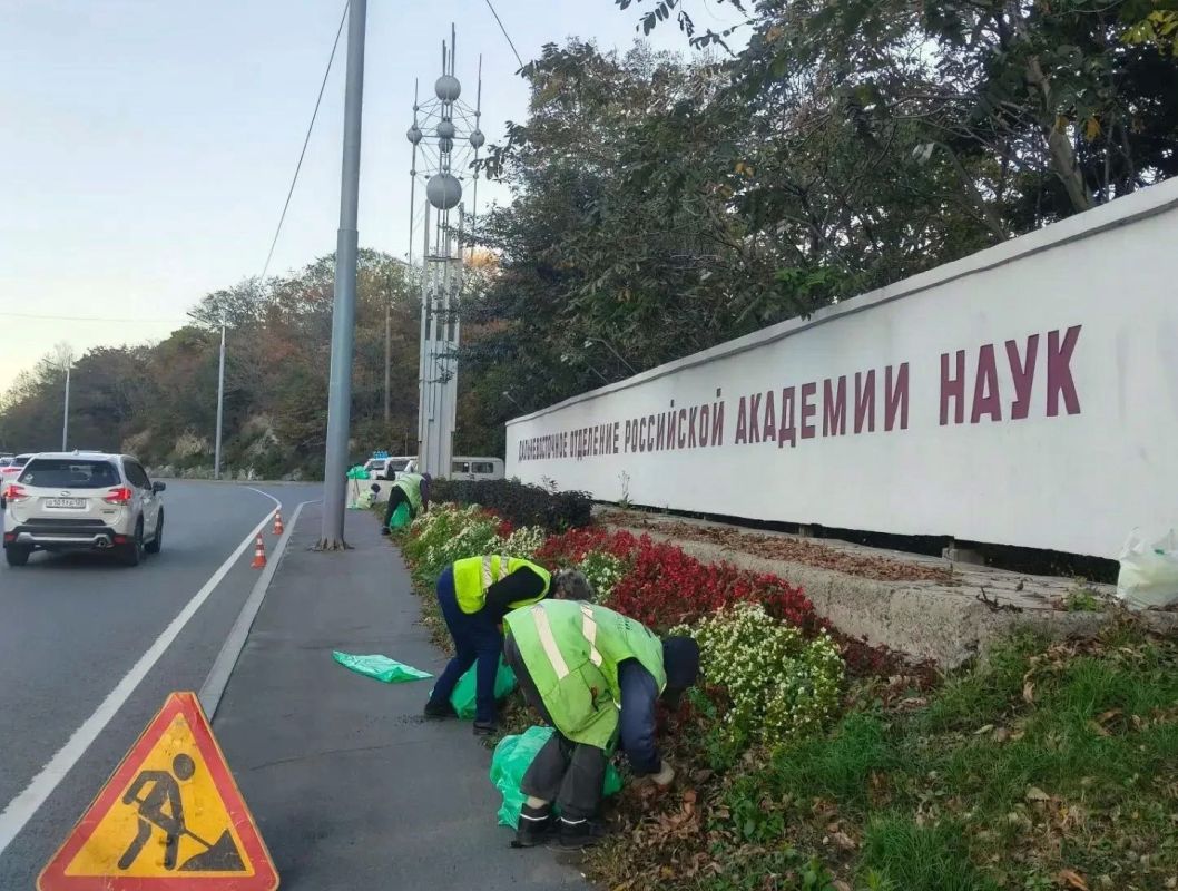 Осень вступает в свои права, а мы продолжаем наводить порядок на зеленых зонах Владивостока Осень вступает в свои права, а мы продолжаем наводить порядок на зеленых зонах Владивостока