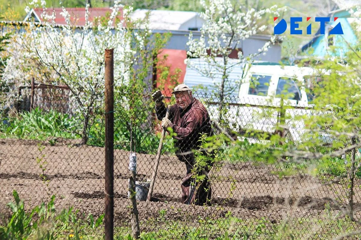 С октября дачи под контролем нейросетей: четыре категории построек вне закона