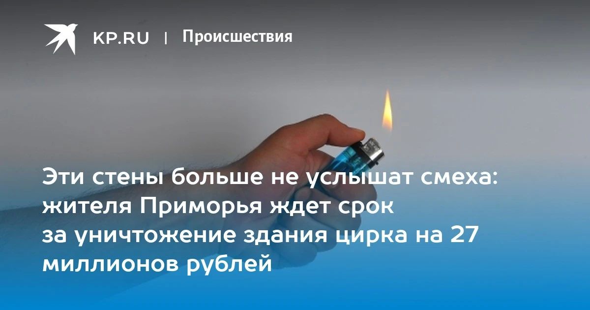 Поджог цирка в Уссурийске: жителю грозит 5 лет тюрьмы