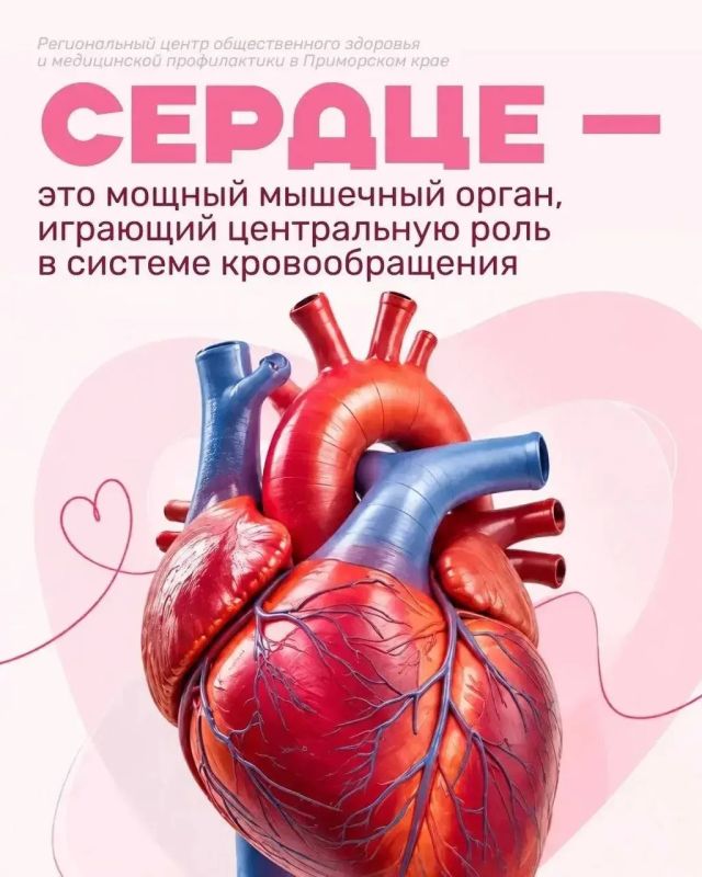 #ЗДОРОВЬЕ_СГТ: Неделя ответственного отношения к сердцу #ЗДОРОВЬЕ_СГТ: Неделя ответственного отношения к сердцу