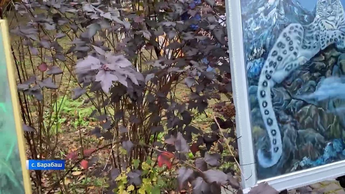 В Барабаше состоялся масштабный фестиваль в поддержку диких кошек Дальнего Востока - «Золотой котябрь»