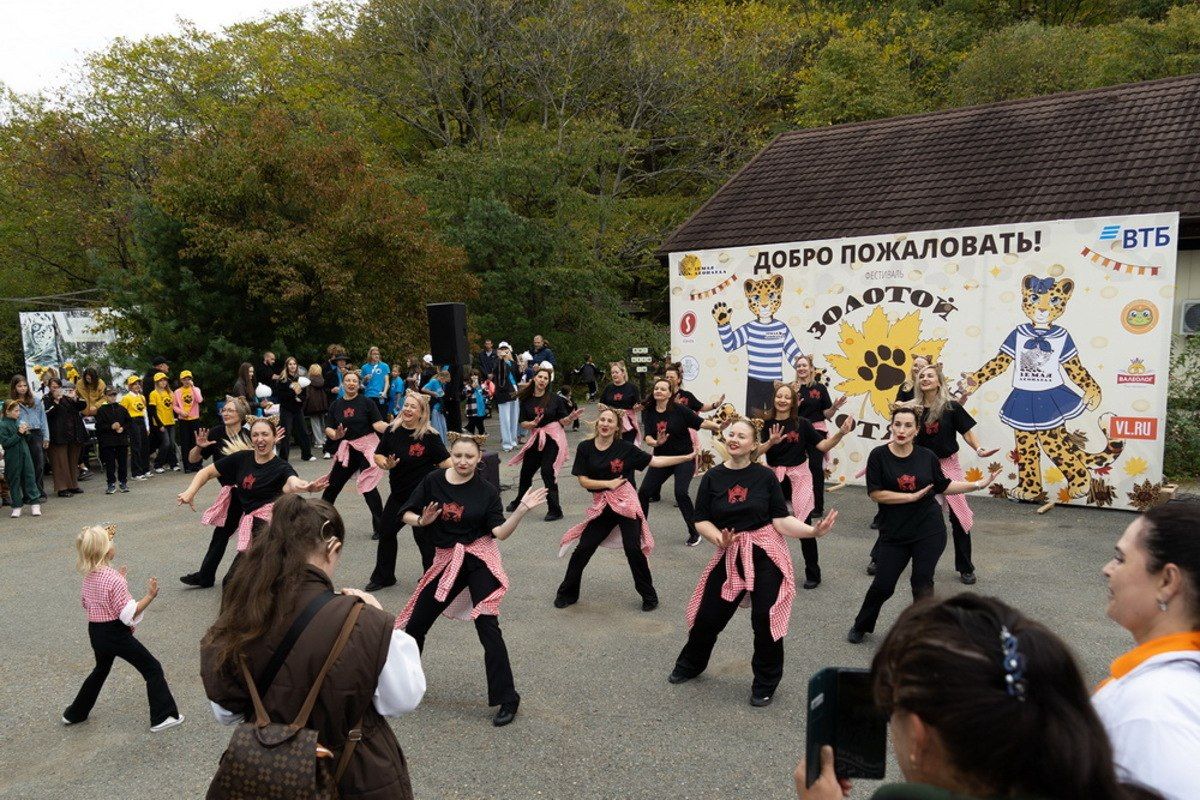 Сотни «диких кошек» посетили фестиваль «Золотой котябрь» в Приморье Сотни «диких кошек» посетили фестиваль «Золотой котябрь» в Приморье