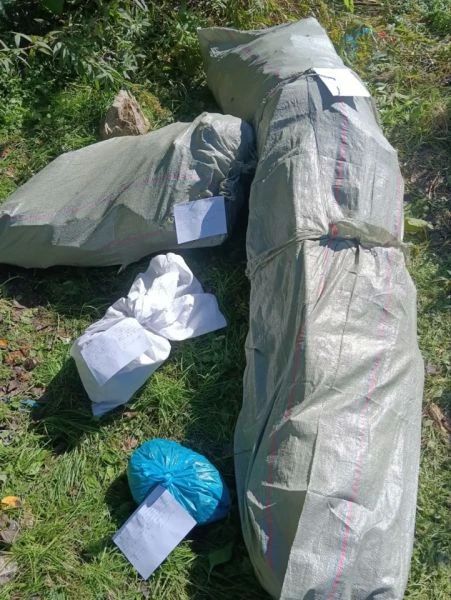 В Приморском крае сотрудники наркоконтроля ОМВД России «Черниговский» изъяли у наркоплантатора 103 куста конопли В Приморском крае сотрудники наркоконтроля ОМВД России «Черниговский» изъяли у наркоплантатора 103 куста конопли