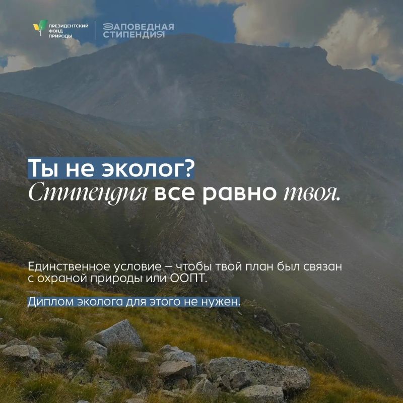 Стипендия для тех, кто защищает природу Приморья: успей подать заявку до 12 октября