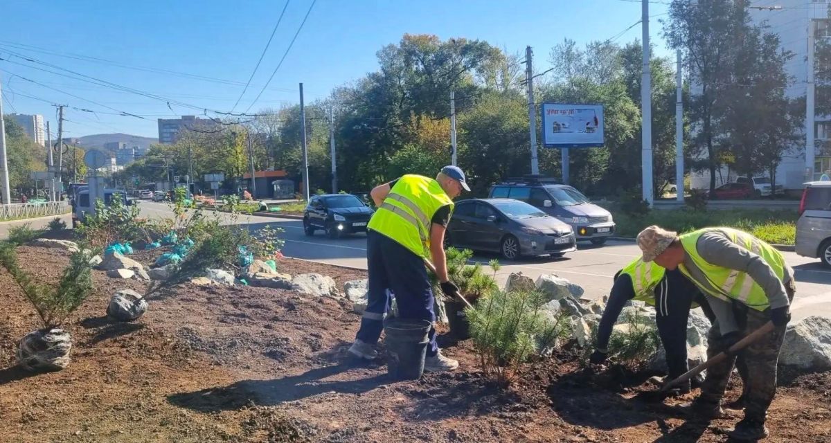 Продолжаем озеленение улицы Русской Продолжаем озеленение улицы Русской