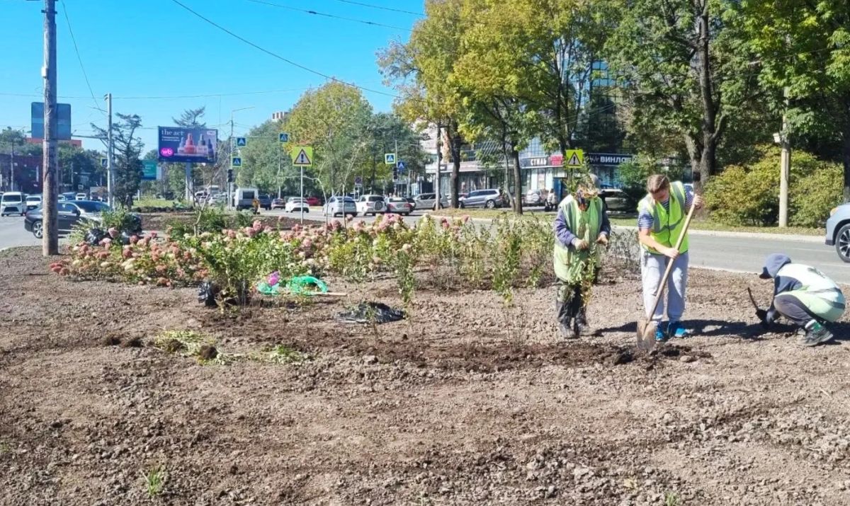 Продолжаем озеленение улицы Русской Продолжаем озеленение улицы Русской