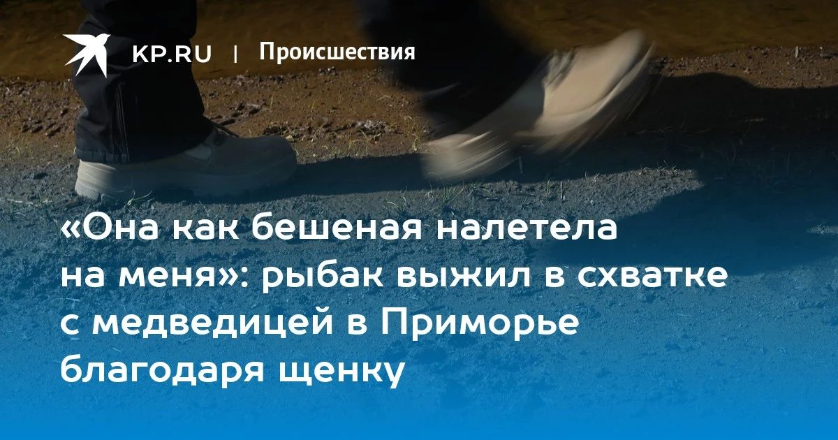 Житель Приморья выжил после нападения медведицы