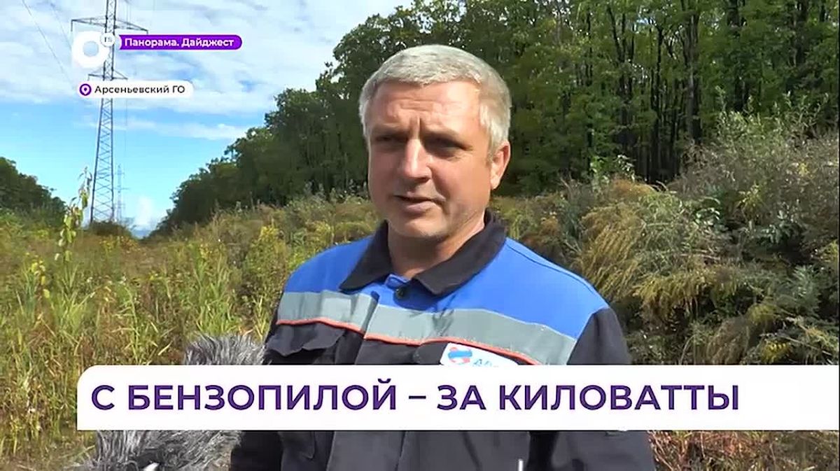 В Приморье энергетики массово расчищают лесные полосы вдоль высоковольтных линий
