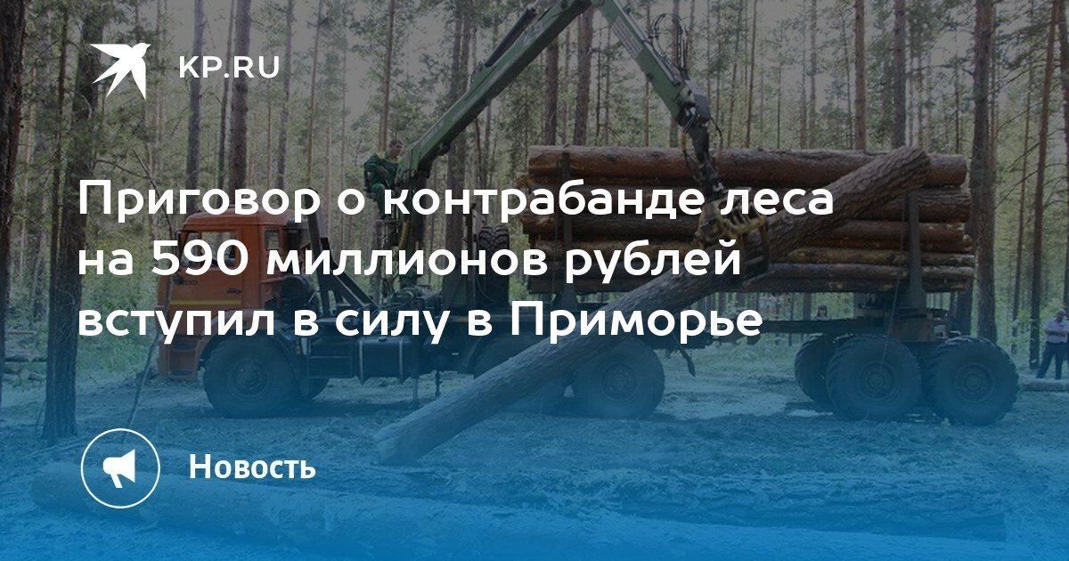 Приговор по делу о контрабанде леса в Приморье: 590 миллионов рублей