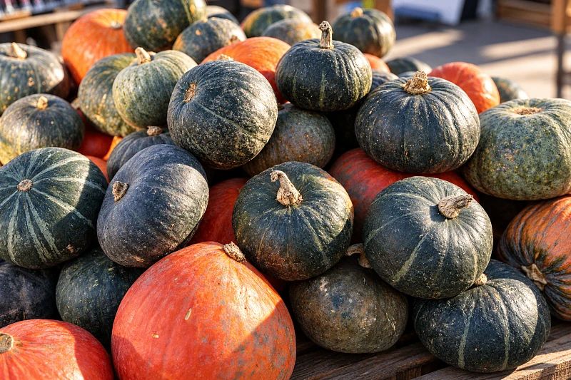 Во Владивостоке работают сезонные продуктовые площадки «Дары осени»