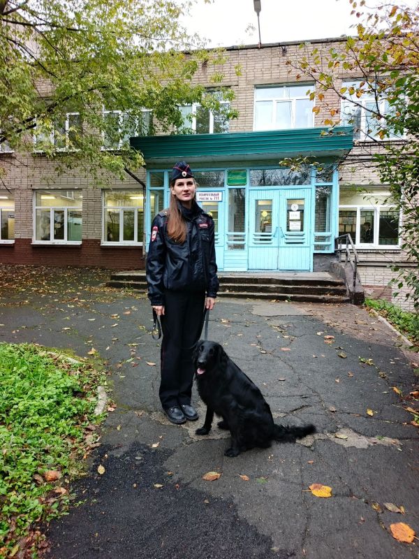 Владивостокские транспортные полицейские со служебной собакой Габи напомнили детям о правилах безопасного поведения на железной дороге