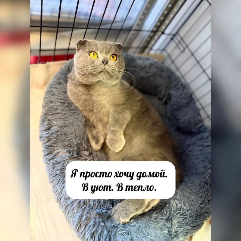 Продолжаем рубрику #Особенные_животные Продолжаем рубрику #Особенные_животные