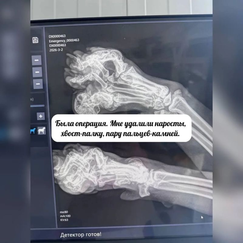 Продолжаем рубрику #Особенные_животные Продолжаем рубрику #Особенные_животные