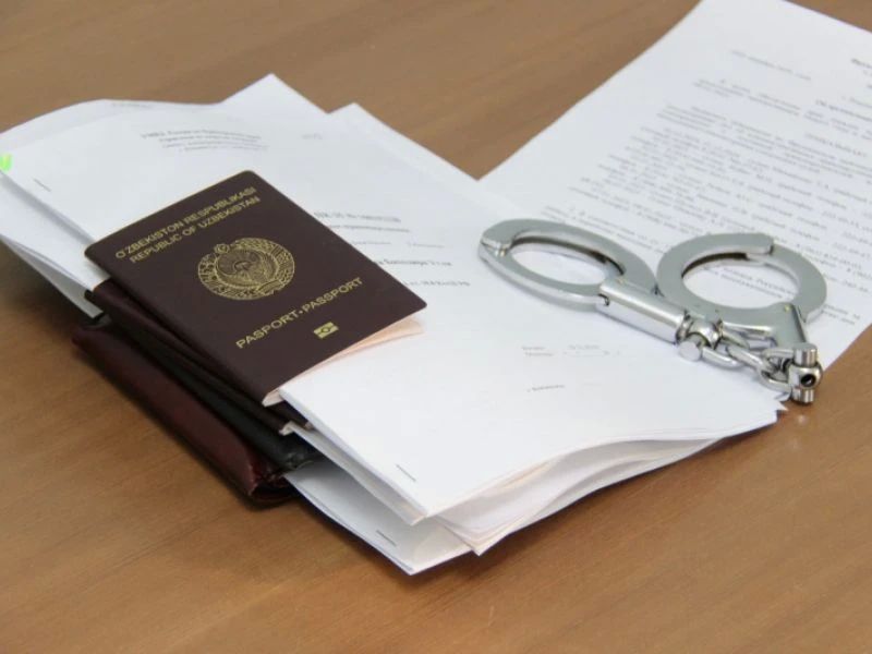 Приморская полиция депортировала за пределы России троих иностранцев, отбывших наказание за совершение преступлений