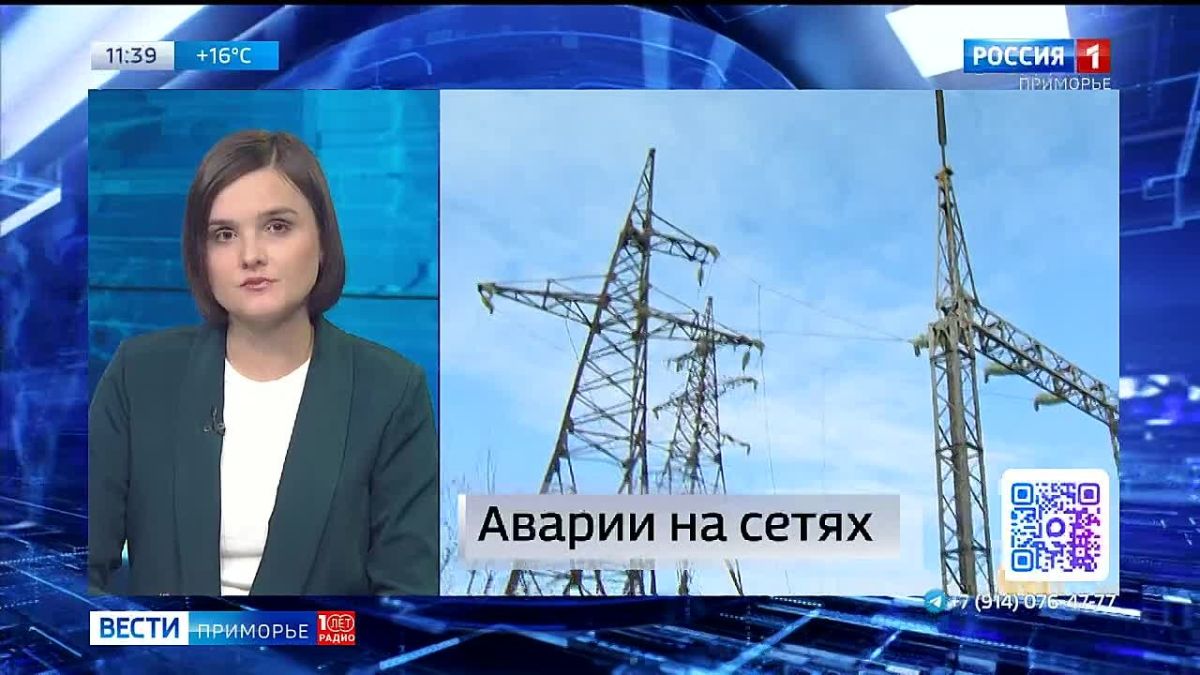 Новости Приморья коротко. Возле посёлка Рудный в Приморье на трассе заметили медведя