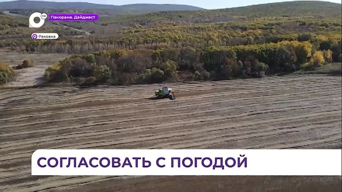 Уборка сои стартовала в Приморье