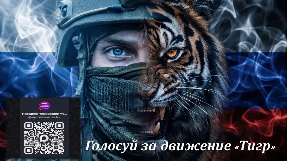 #ПоддержитеТигр. Приморским «Тиграм» нужна ваша поддержка! Движение вышло в финал международной премии #МЫВМЕСТЕ 2026 в номинации «Герои нашего времени»
