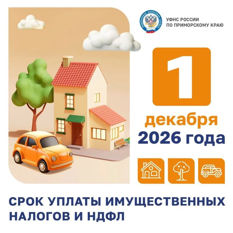 В Приморье начали рассылать налоговые уведомления за 2025 год